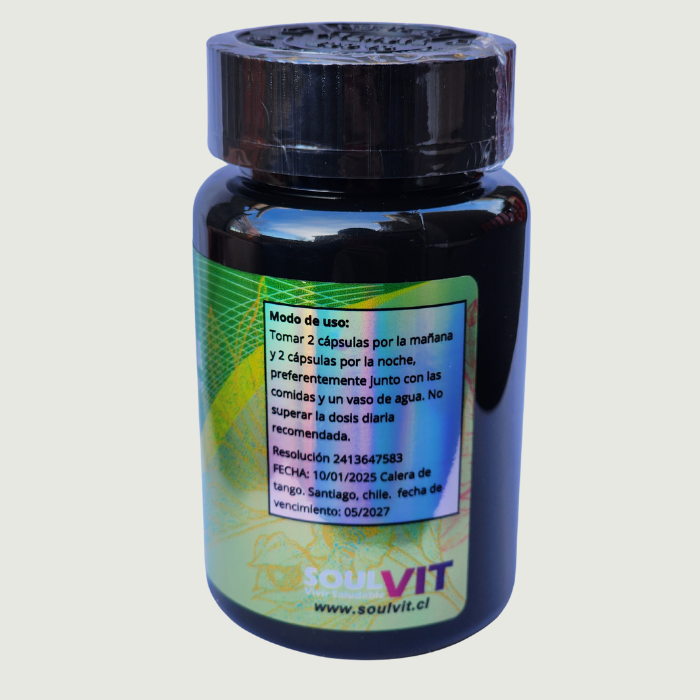 Ashwagandha 1600 mg – 120 Cápsulas | Suplemento Natural para el Bienestar y Vitalidad | Venta en Chile