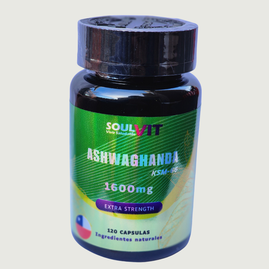 Ashwagandha 1600 mg – 120 Cápsulas | Suplemento Natural para el Bienestar y Vitalidad | Venta en Chile