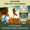 Ashwagandha 1800 mg Extra Fuerte | Antiestrés Natural, Energía y Enfoque | 120 Cápsulas